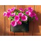 Gronest Wall Planter 4.5L Gronest Wall Planter 4.5L