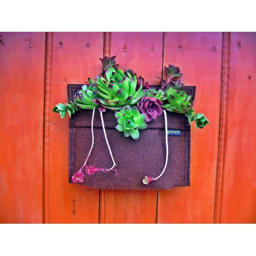 Gronest Wall Planter 4.5L Gronest Wall Planter 4.5L