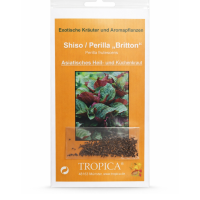 Семена Китайски босилек/Перила (Perilla frutescens)