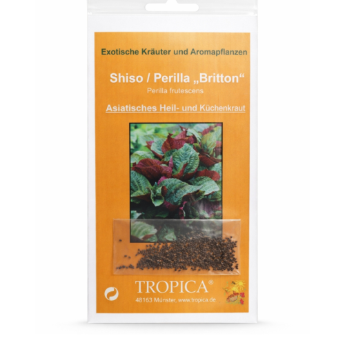 Семена Китайски босилек/Перила (Perilla frutescens)