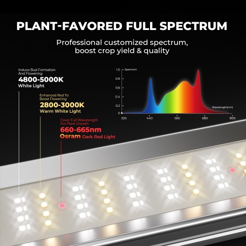 LED Лампа за растеж и цъфтеж Mars Hydro FC-E 3000 300W