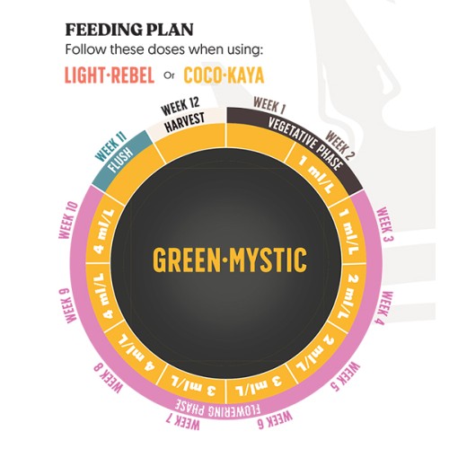 Juju Royal Green-Mystic 5L