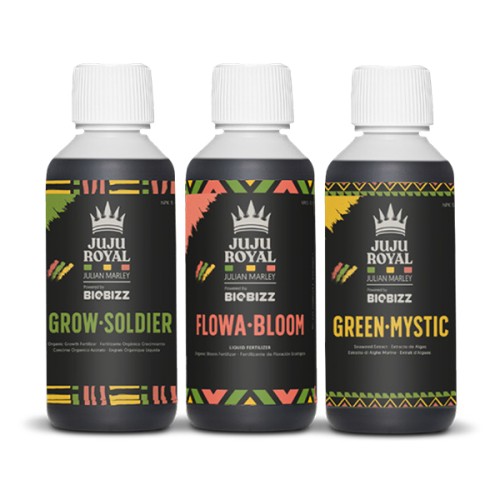 Juju Royal I&I Pack