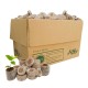 Planting tablet Jiffy 7 41mm, box 1000pcs Planting tablet Jiffy 7 41mm, box 1000pcs