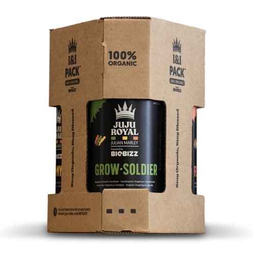 Juju Royal I&I Pack