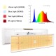 LED Лампа за растеж и цъфтеж Mars Hydro TSL 2000 300W