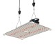 LED Лампа за растеж и цъфтеж LUMii Black Blade 200W