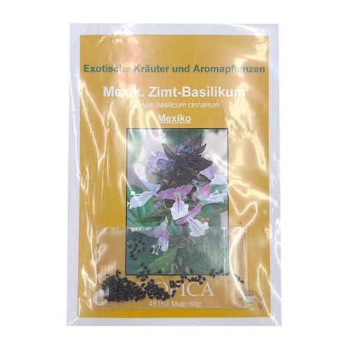 Mexican Cinnamon Basil Herbs (Ocinum basilicum cinnamon)