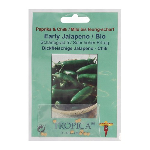 Organic Early Jalapenos Chilihills (Capsicum annum)