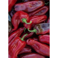 Семена Чушки "Корно Росо" (Capsicum annum) Семена Чушки "Корно Росо" (Capsicum annum)