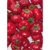 Семена Чушки "Парадизо" (Capsicum annum) Семена Чушки "Парадизо" (Capsicum annum)