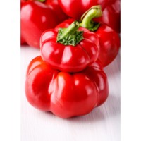 Семена Чушки "Тореро Росо" (Capsicum annum var. arossum) Семена Чушки "Тореро Росо" (Capsicum annum var. arossum)