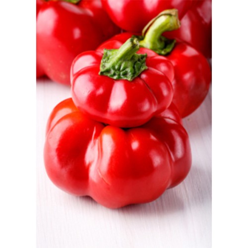 Семена Чушки "Тореро Росо" (Capsicum annum var. arossum) Семена Чушки "Тореро Росо" (Capsicum annum var. arossum)