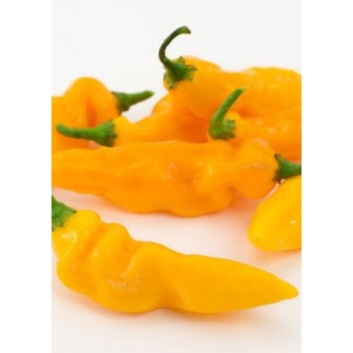 Семена Чушки "Жълт Биков Рог" (Capsicum annum) Семена Чушки "Жълт Биков Рог" (Capsicum annum)
