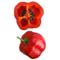 Семена Чили "Баумчили Рокото" (Capsicum pubescens)