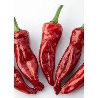 Семена Чили "Гория" Червено (Capsicum annum) Семена Чили "Гория" Червено (Capsicum annum)