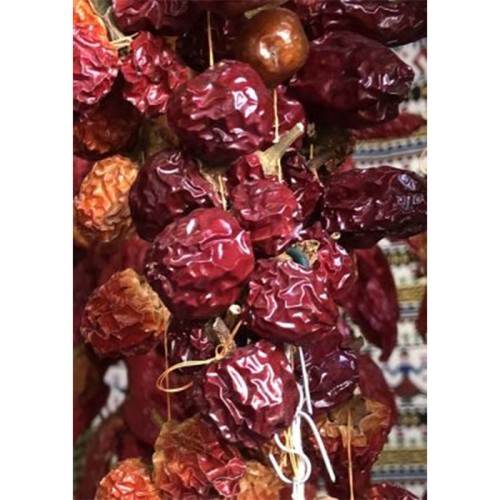 Семена Чили "Коралова Череша" (Capsicum frutescens) Семена Чили "Коралова Череша" (Capsicum frutescens)