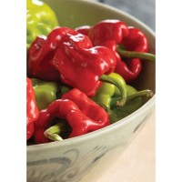 Семена Чили "Пръстът На Дракона" (Capsicum chinense) Семена Чили "Пръстът На Дракона" (Capsicum chinense)