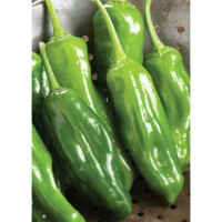 Семена Чили Шишито "Мелоу Стар" (Capsicum annum) Семена Чили Шишито "Мелоу Стар" (Capsicum annum)