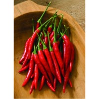 Семена Чили Тай Банкок Ф1 (Capsicum annum) Семена Чили Тай Банкок Ф1 (Capsicum annum)