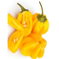 Семена Хабанеро "Лимон" Карибско Чили (Capsicum chinense) Семена Хабанеро "Лимон" Карибско Чили (Capsicum chinense)