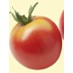 Семена Органични Домати "Бернска Роза" (Lycopersicon esculentum)