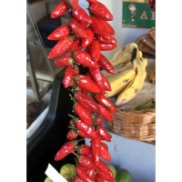 Семена Табаско Чили (Capsicum frutescens) Семена Табаско Чили (Capsicum frutescens)