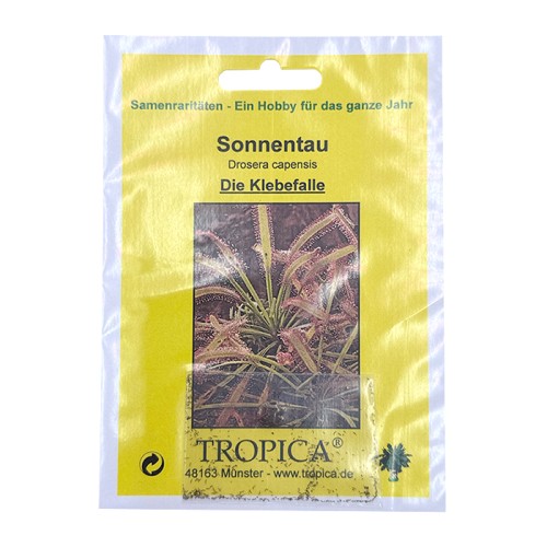 Семена Росичка (Drosera capensis) Семена Росичка (Drosera capensis)
