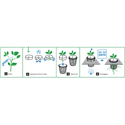 growPLANT propagator 40 – 77 x 41 x 45 cm growPLANT propagator 40 – 77 x 41 x 45 cm